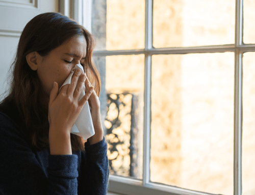 How to Create an Allergy-Proof Home in 4 Easy Steps