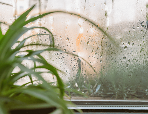 The Effects of Humidity on Your Health—and What to Do About Them