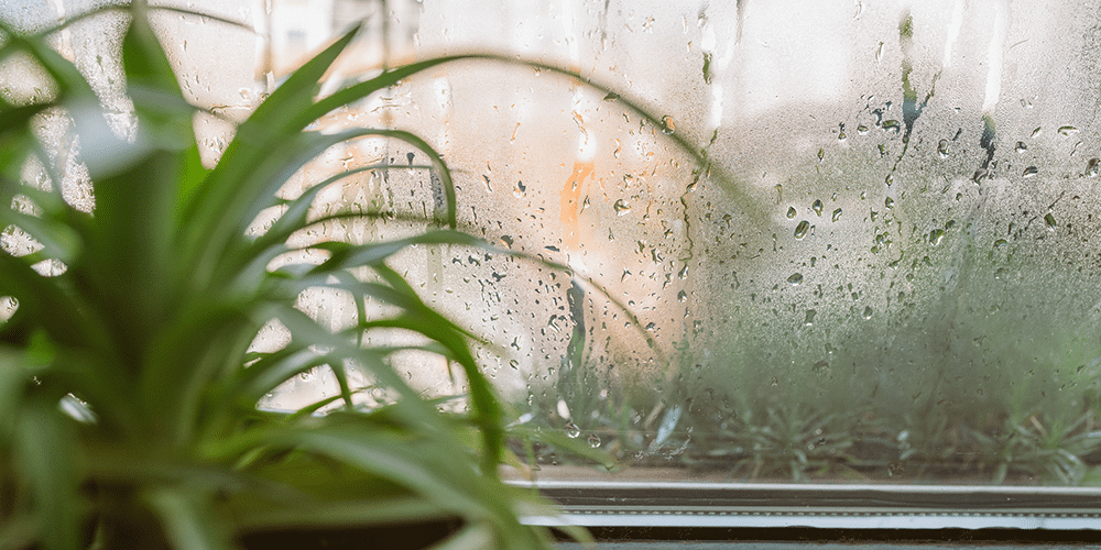 Effects of Humidity Window in living room fills with condensation due to the effects of humidity.