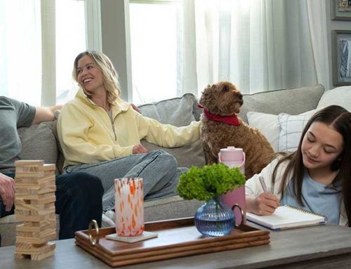 How to Reduce Household Odors With Air Cleaner Systems in Wisconsin Rapids