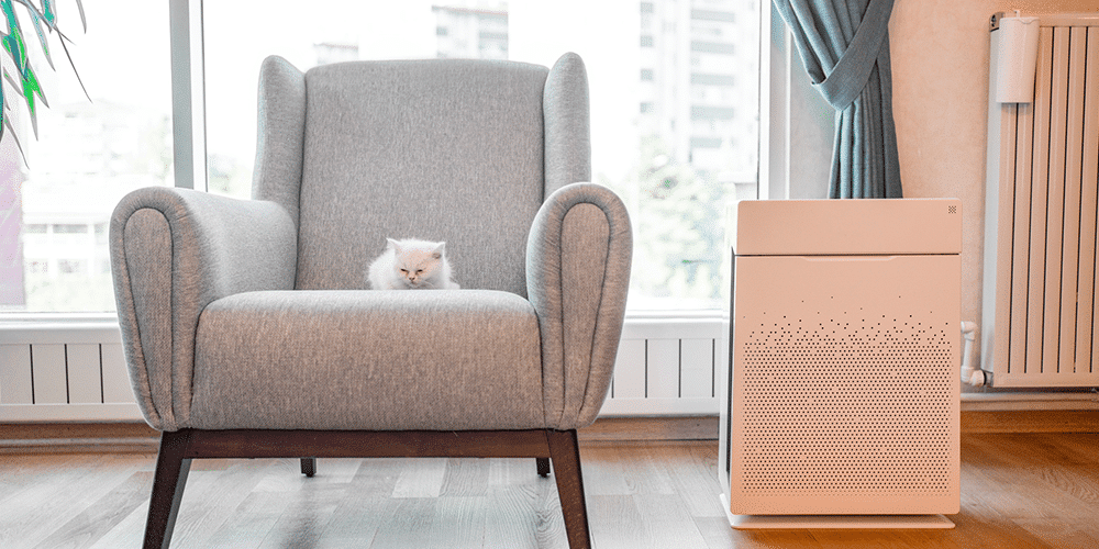 HVAC Tips to Improve Indoor Air Quality Fluffy white cat lounges on gray chair in living room next to air quality machine.